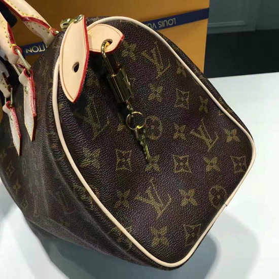 Buy Louis Vuitton Monogram Canvas Speedy 25 M41109 Purse Handbag at
