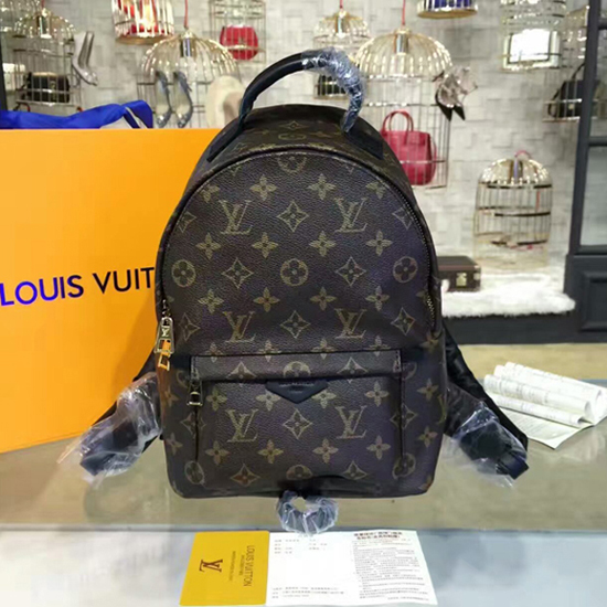 Replica Louis Vuitton Montsouris PM Backpack Monogram M45501 BLV013