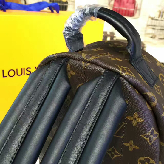 Buy Authentic Louis Vuitton Monogram Canvas Palm Springs Backpack PM  Handbag Article: M41560 Made in France Online at desertcartINDIA
