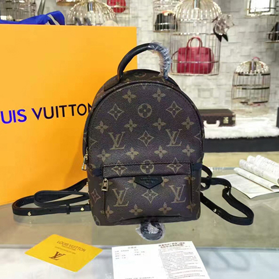 Louis Vuitton Monogram Canvas Palm Springs Backpack Mini M41562 – Replica5