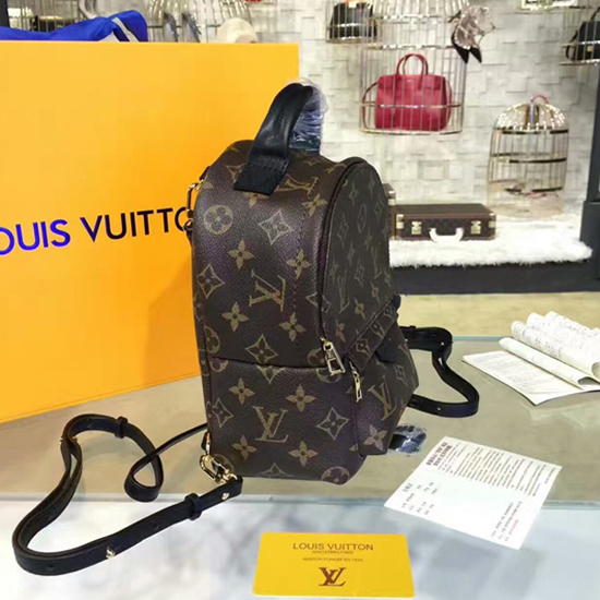 women bag LVM41562 palm springs backpack mini monogram canvas fashion shows  M41562 PM2 Front view - AliExpress